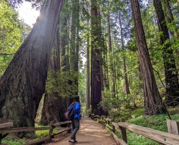 horizontal (18) (1) (1)