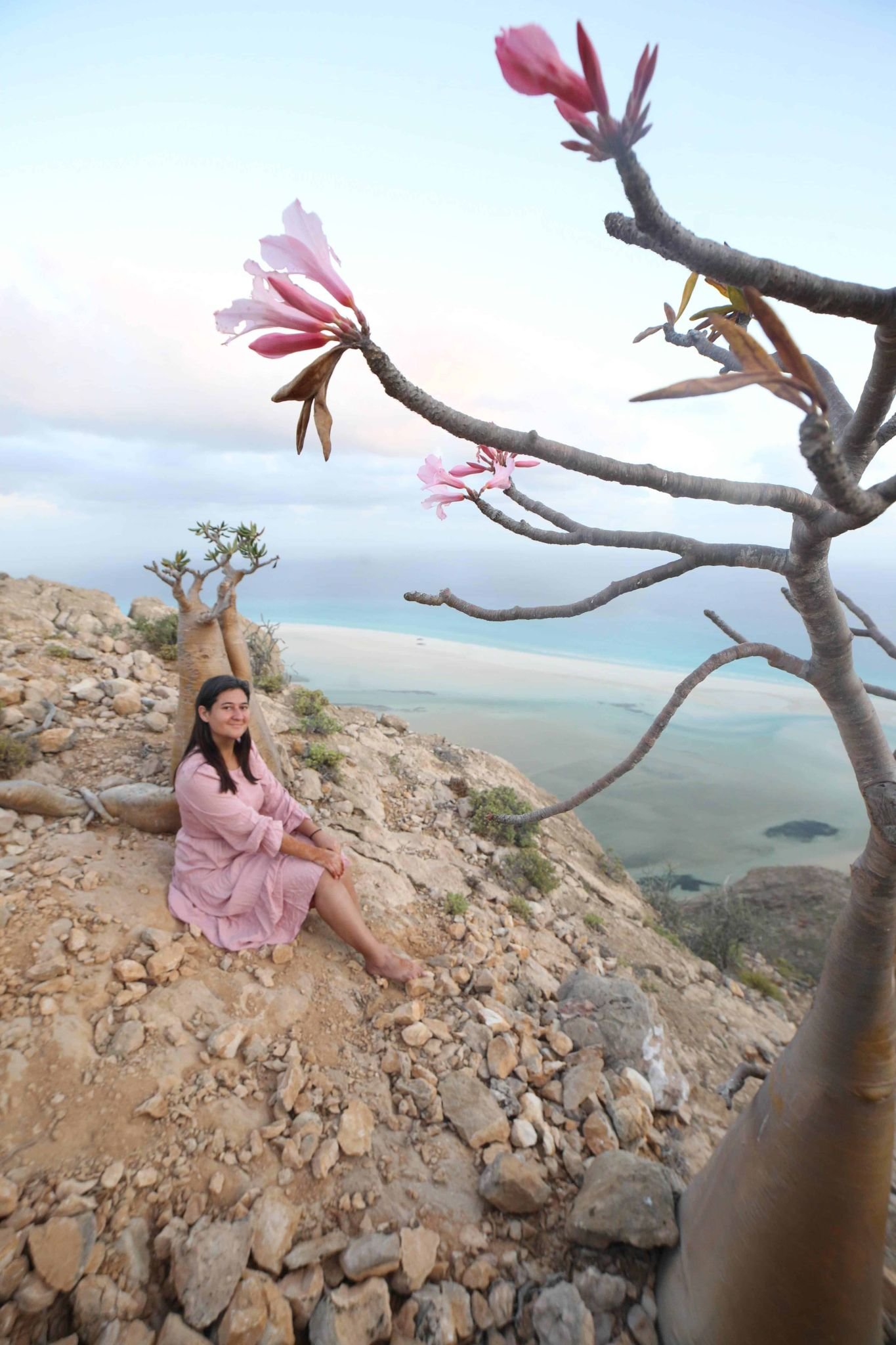 how to visit Socotra