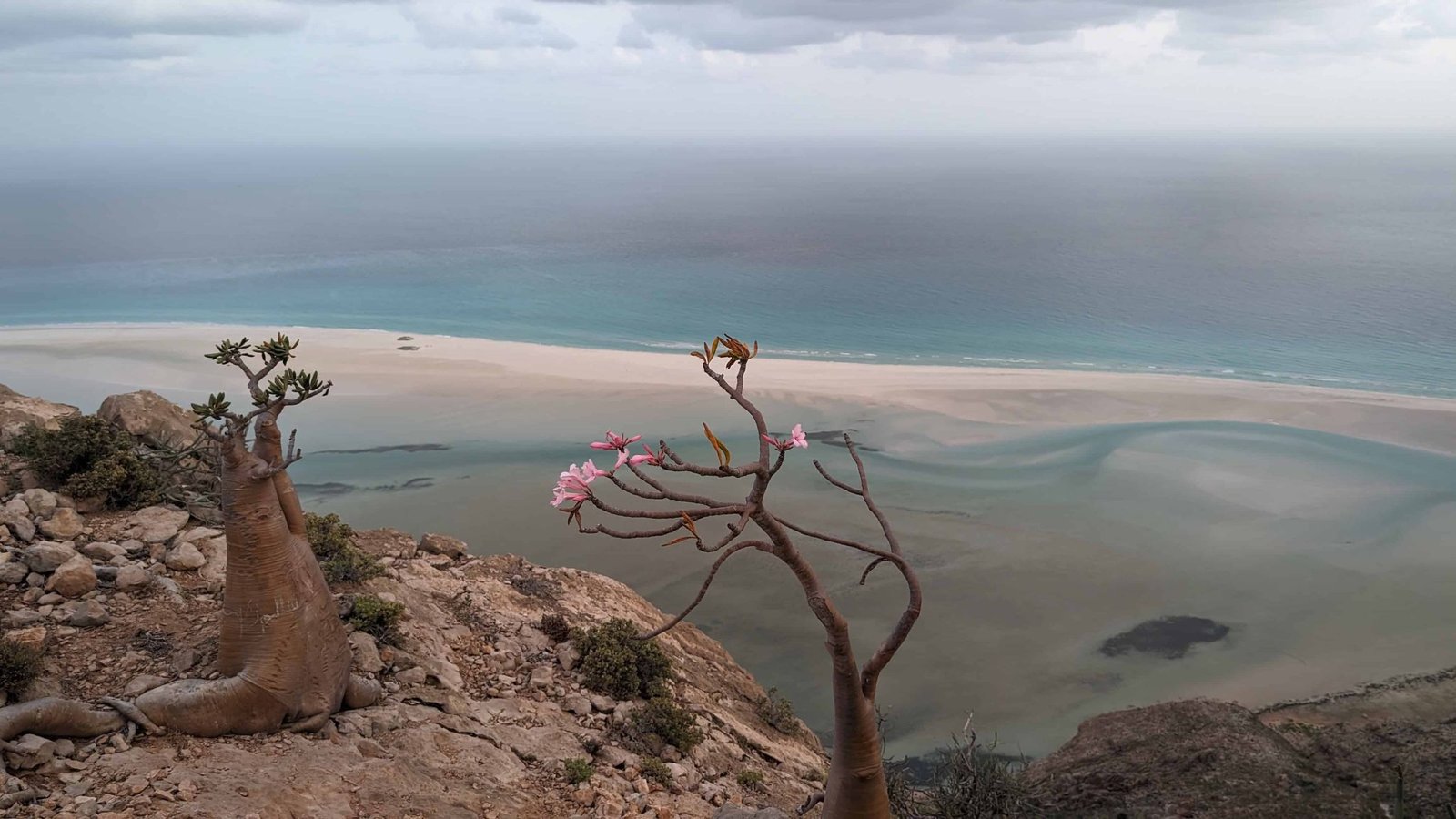 how to visit Socotra