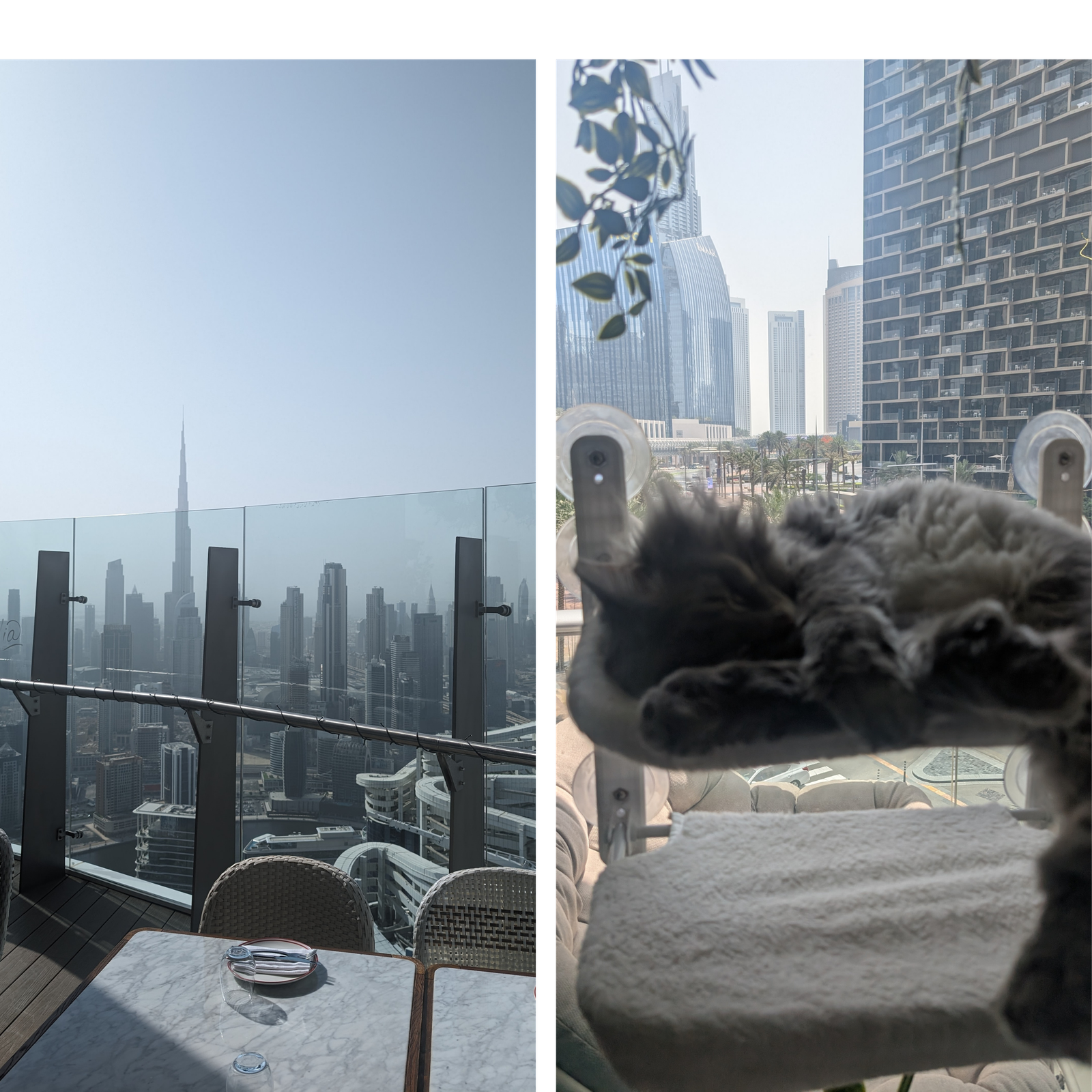 Where to Stay in Dubai: Best Areas for Every Budget (2026) Downtowns views from one of my housesits
