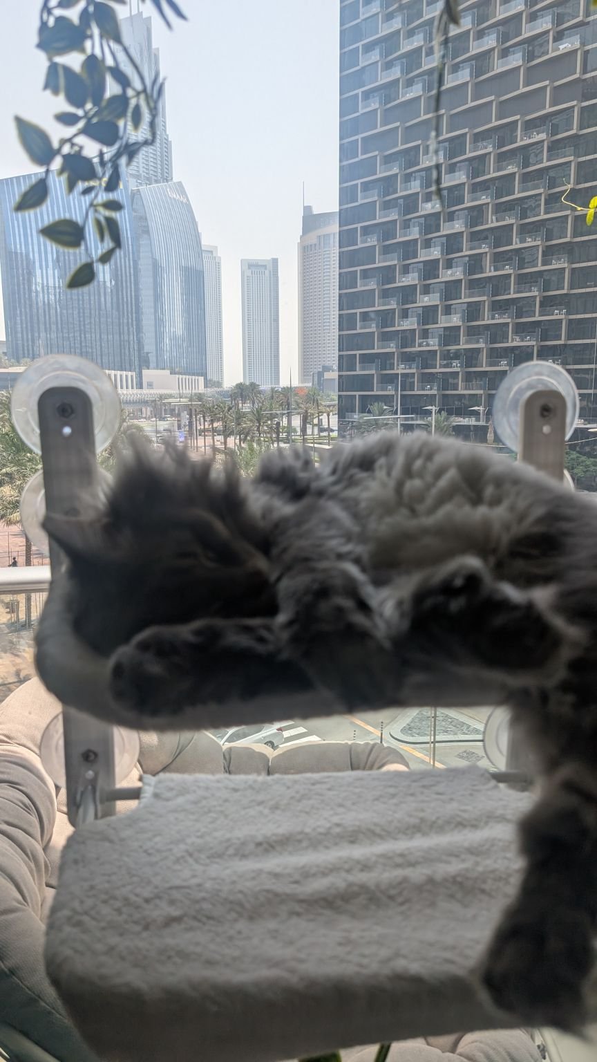 Dubai on a Budget: How to Visit Without Breaking the Bank (2026) Downtowns views from one of my housesits