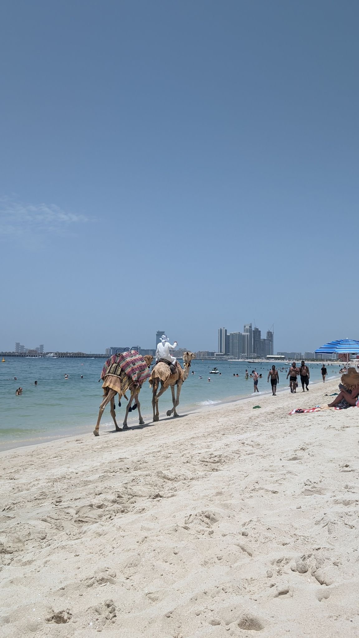 Where to Stay in Dubai: Best Areas for Every Budget (2026)